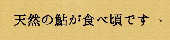 鮎