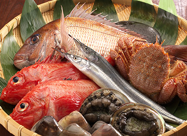 鮮魚素材