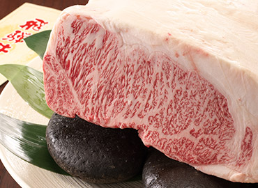 肉素材